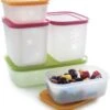 SET (5) Diepvriesdozen Plus Van Tupperware