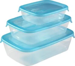 Curver Fresh & Go Vershoudbakjes Met Deksel - Rechthoekig - 0,5L - 1L En 2L - 3 Stuks - Transparant/Blauw