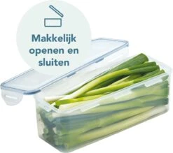 Lock&Lock Vershouddoos - Bewaardoos Met Deksel - Voor Ontbijtkoek Peperkoek En Cake - Cakedoos - 100% Luchtdicht - 3,4 Liter -Mepal shop 1200x1063 2