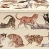 Emma Bridgewater Cats - Vershouddoos - Bewaarblik - Rechthoek - Poes -Mepal shop 1200x1075 5