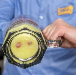 Scrub Daddy Schuurspons - Krasvrij Schoonmaken - Inclusief The Pink Stuff Paste -Mepal shop 1200x1191 3