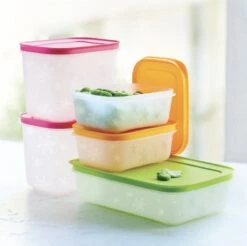 SET (5) Diepvriesdozen Plus Van Tupperware -Mepal shop 1200x1195 17