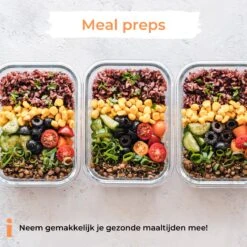 Formilo Meal Prep Bakjes - Lekvrije Vershoudbakjes - Diepvriesbakjes - Luchtdicht - BPA Vrij - Glas - 10 Stuks -Mepal shop 1200x1200 1417