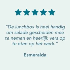 Lock&Lock Saladebox - Salade Lunchbox To Go - Salade To Go - 950 Ml - Lekvrij - Met Verdeelvakjes - Groen -Mepal shop 1200x1200 1924