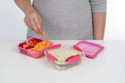 Sistema To Go Snackdoos Snack Attack Duo - Roze- 975 Ml 8 Sistema To Go Snackdoos Snack Attack Duo - Roze- 975 Ml -Mepal shop 1200x799 102