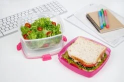 Sistema To Go Vershouddoos - Salade Kom - Roze - 1.1 Liter 6 Sistema To Go Vershouddoos - Salade Kom - Roze - 1.1 Liter -Mepal shop 1200x799 92