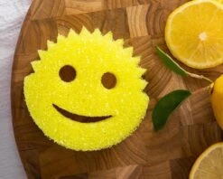 Scrub Daddy Schuurspons - Krasvrij Schoonmaken - Inclusief The Pink Stuff Paste -Mepal shop 1200x964