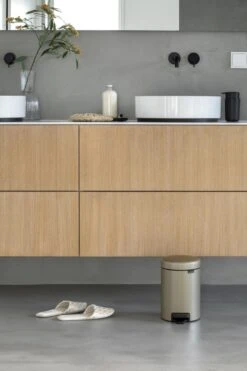 Brabantia NewIcon Prullenbak - 3 L - Metallic Gold 35 Brabantia NewIcon Prullenbak - 3 L - Metallic Gold -Mepal shop 799x1200 26